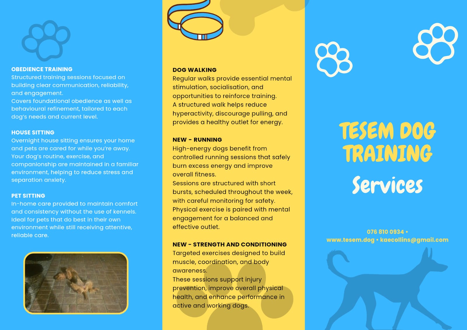 Tesem Dog Training Services Brochure - Pricing Details