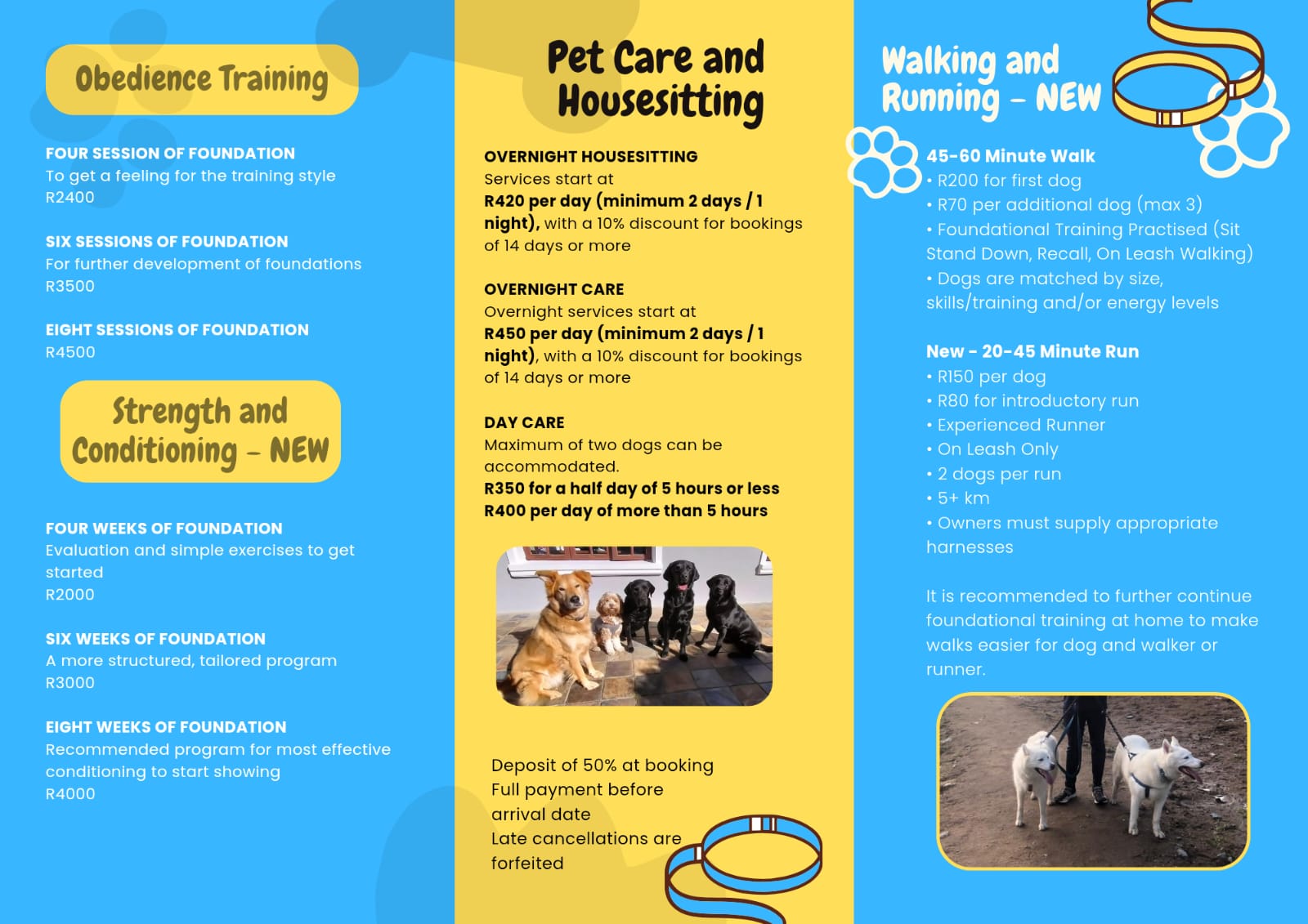 Tesem Dog Training Services Brochure - Front